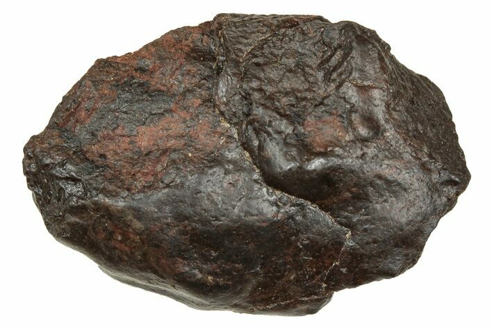 Carbonaceous Chondrite Meteorite ( g) - NWA #334358